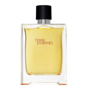 خرید و قیمت ادکلن هرمس تق هرمس پرفیوم مردانه | Hermes Terre d’Hermes Parfum (فروشگاه عطر و ادکلن پرفیوم اسکای)