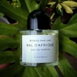 بیره دو بال د آفریک 2