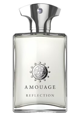 ادکلن آمواج دسیژن | Amouage Decision
