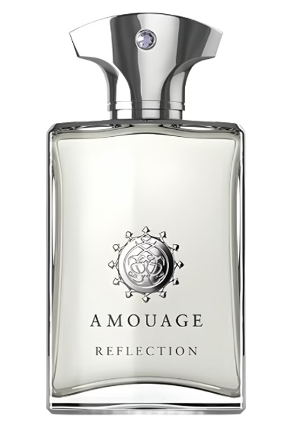 ادکلن آمواج دسیژن | Amouage Decision (100میل)